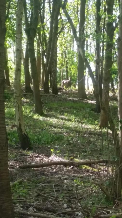 Westhurst Park Bnb Bredon Εξωτερικό φωτογραφία